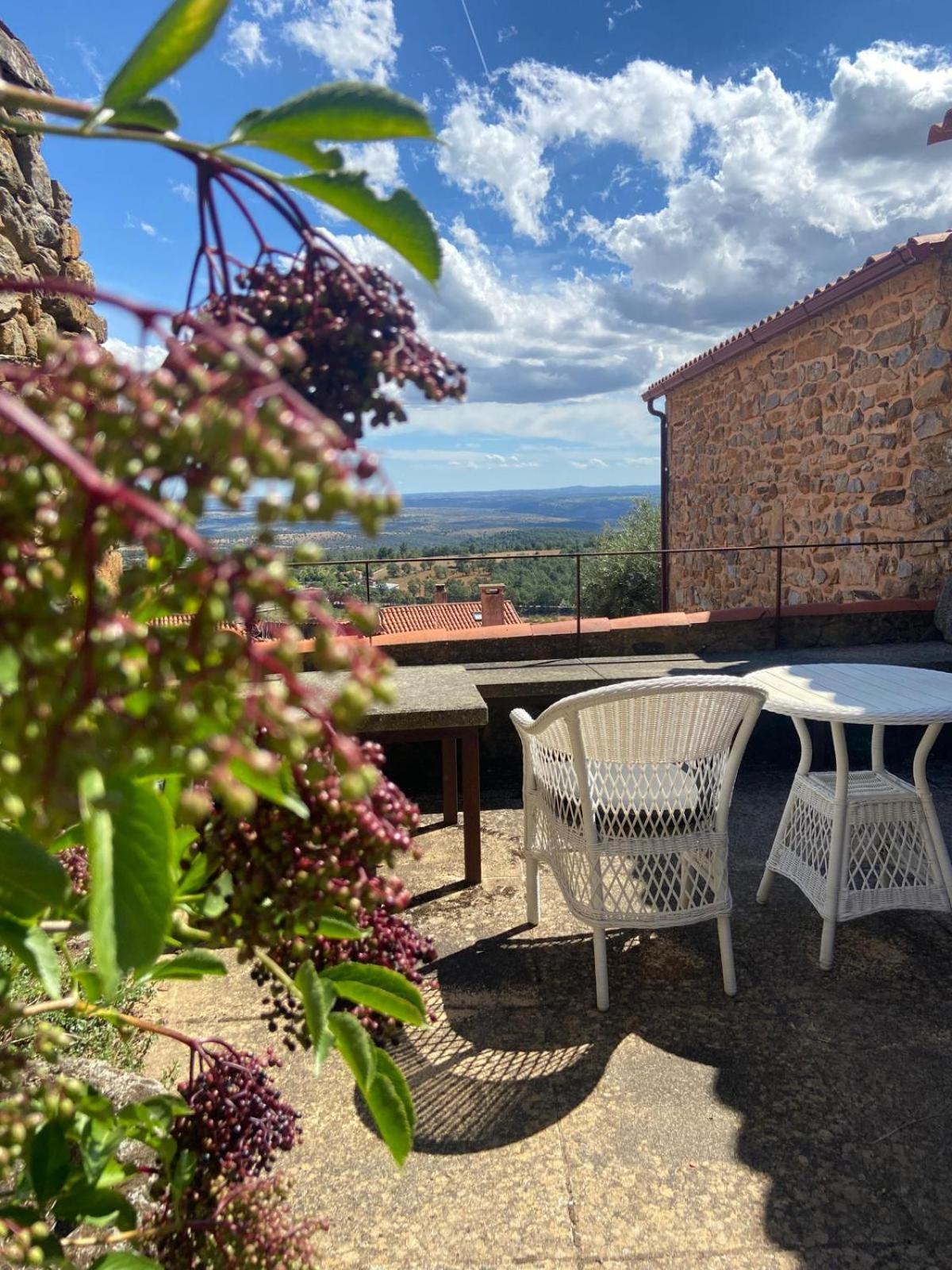 Casa Da Cisterna Pensionat Figueira de Castelo Rodrigo Exteriör bild